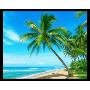 Hawaiian Beach