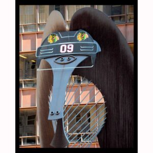 Hawk Picasso