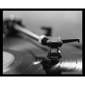 High Fidelity