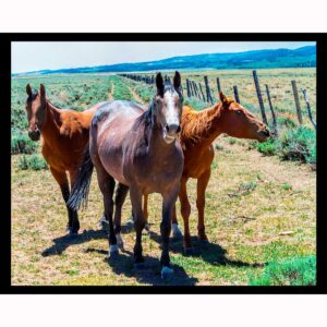 Horse Trio