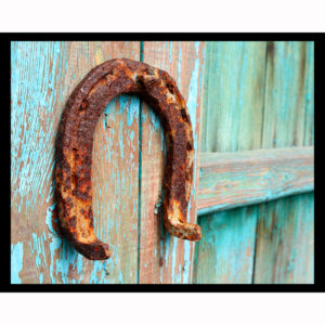 Horseshoe