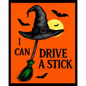 I Can Drive a Stick