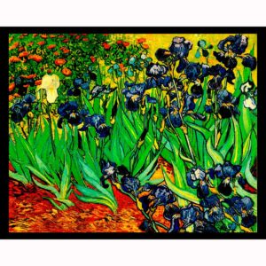 Irises