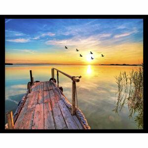 Lake with Birds
