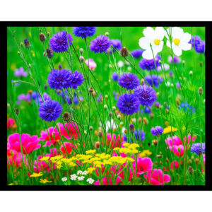 Meadow Flowers