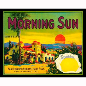 Morning Sun