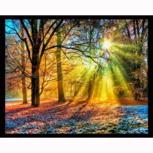 Morning Sunrays