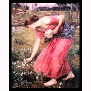 Narcissus