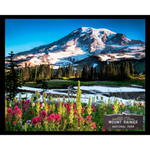 National Parks Series #33: Mount Rainier National Park