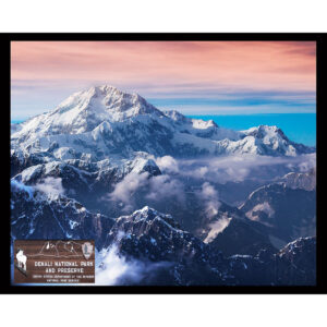 National Parks Series #36: Denali National Park