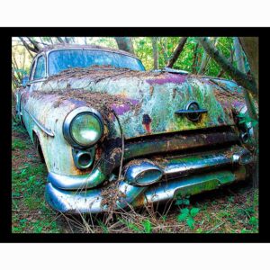 Olds