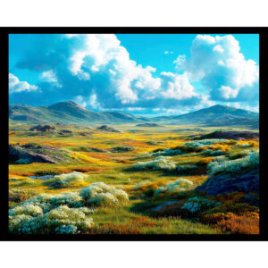 Open Meadow