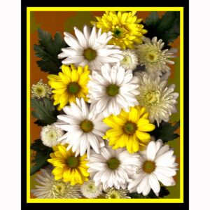 Organics - Daisies