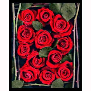 Organics - Roses