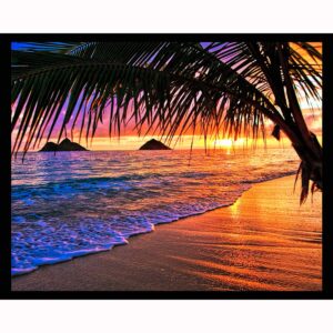 Pacific Sunrise
