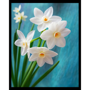 Paper Whites