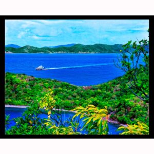 Paradise Cove