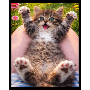 Paws Up For Joy