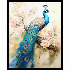 Peacock Beauty