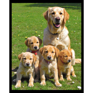 Proud Mama
