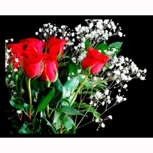 Red Roses
