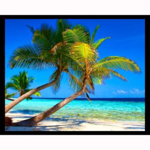 Return to Paradise