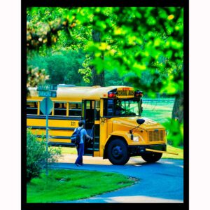 School Bus