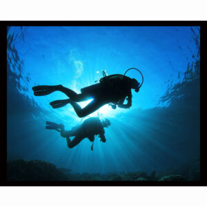 Scuba Divers