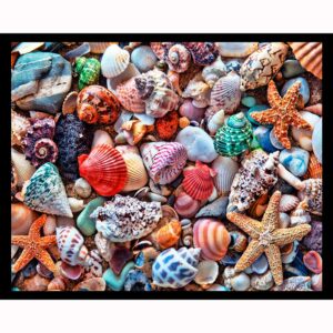 Shells