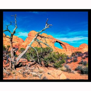 Skyline Arch
