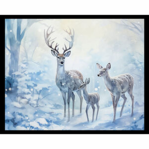 Snow Queen