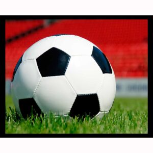 Soccer - Ball Only