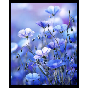 Soft Linen Bloom