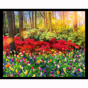 Spring Flowers