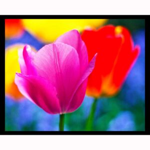 Spring Has Sprung