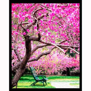Spring Seating