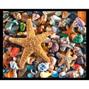 Starfish and Colorful Shells