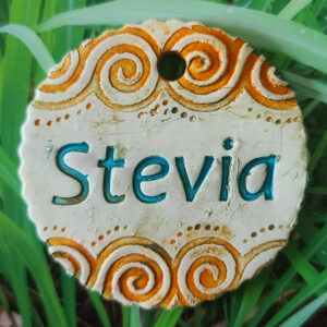 Stevia Garden Charm