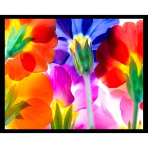 Summer Colors