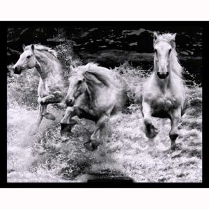 The Seahorses
