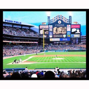 Tigers Game