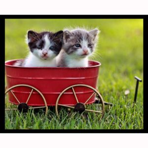 Tiny Delivery