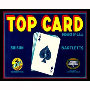 Top Card