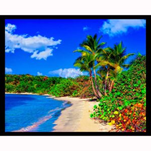 Tortola BVI Beach