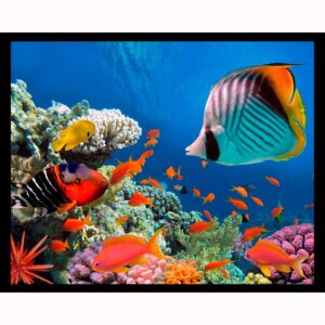 Tropical Fish