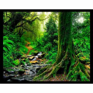 Tropical Jungle