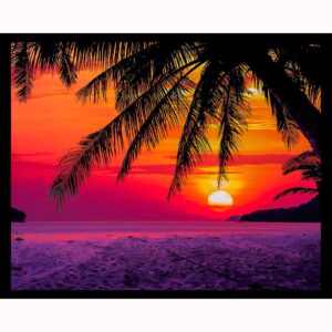 Tropical Silhouette