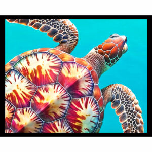 Turtle Dream