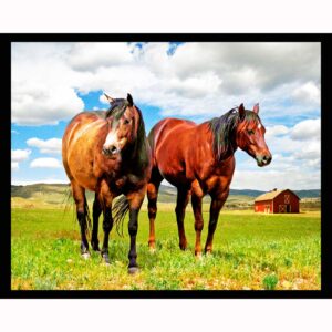 Two Horses