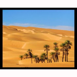 Um El Ma Oasis